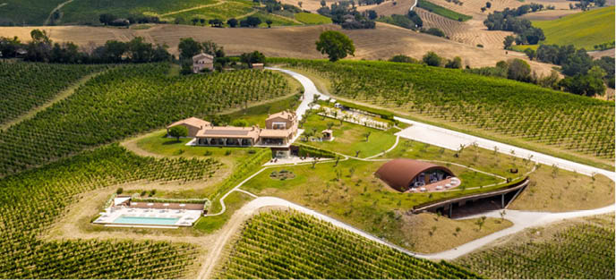 Filodivino