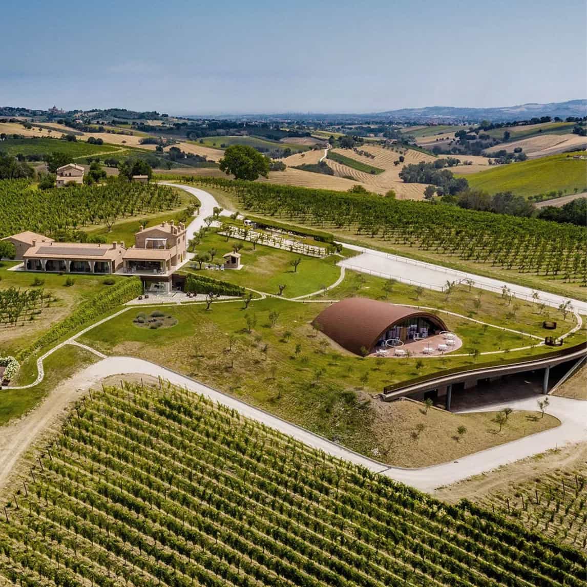filodivino