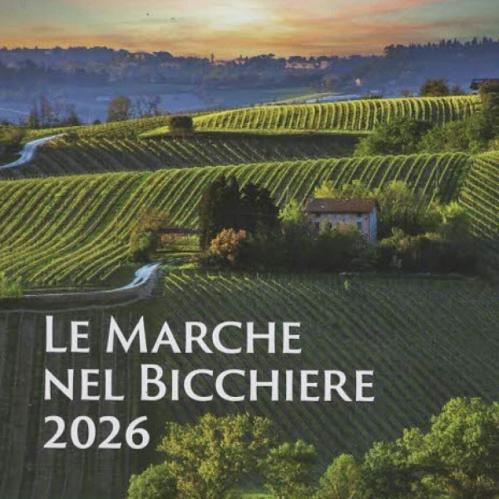 le marche nel bichiere 1146x1146 small