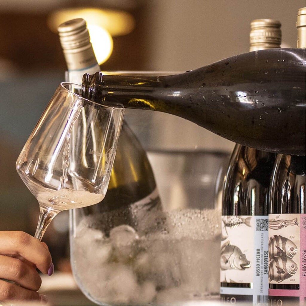 wine tasting at Vignedileo in Staffolo