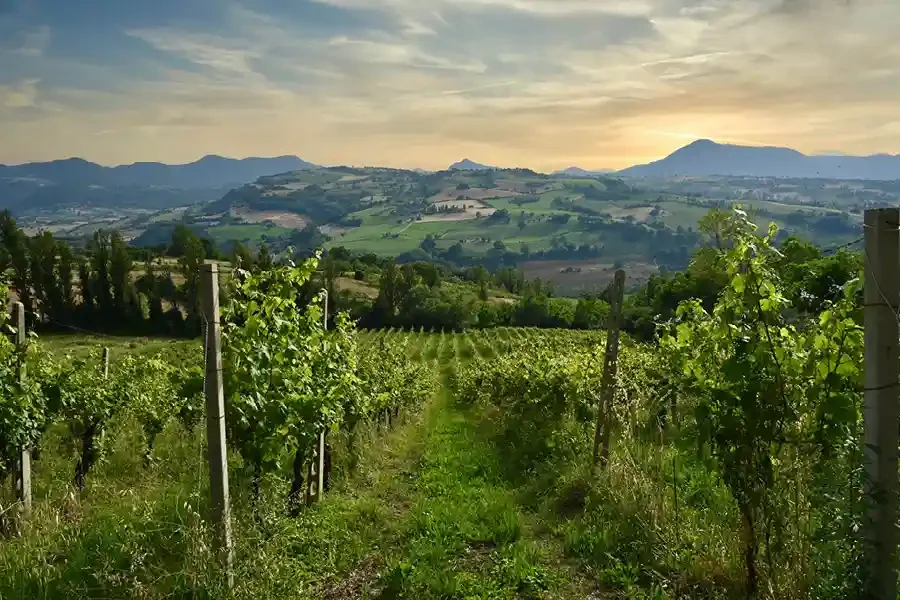 View from Villa Verdicchio 900×600 72DPI LOW View from Villa Verdicchio